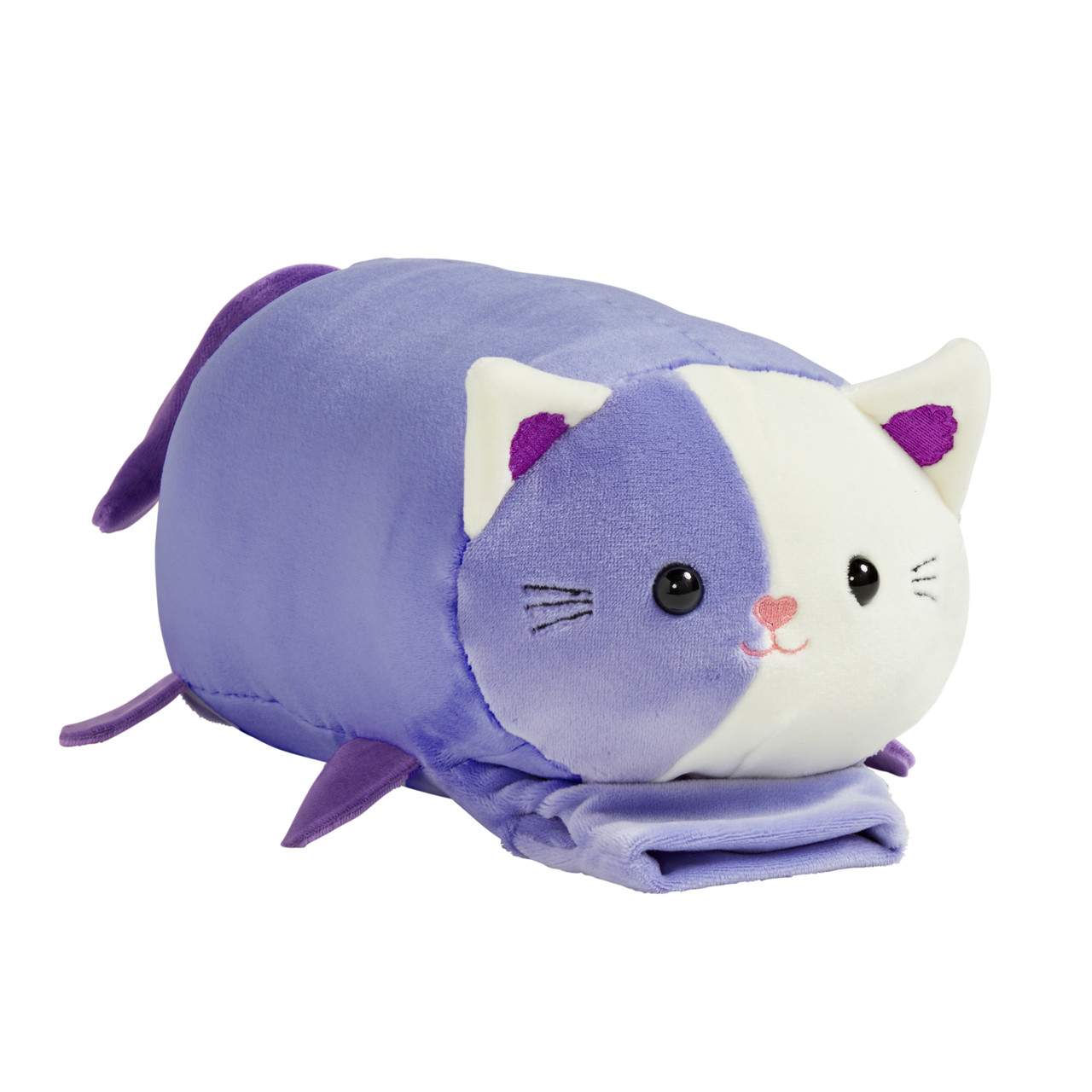 Chloe_Kitty_2__17639.1709741783.jpg