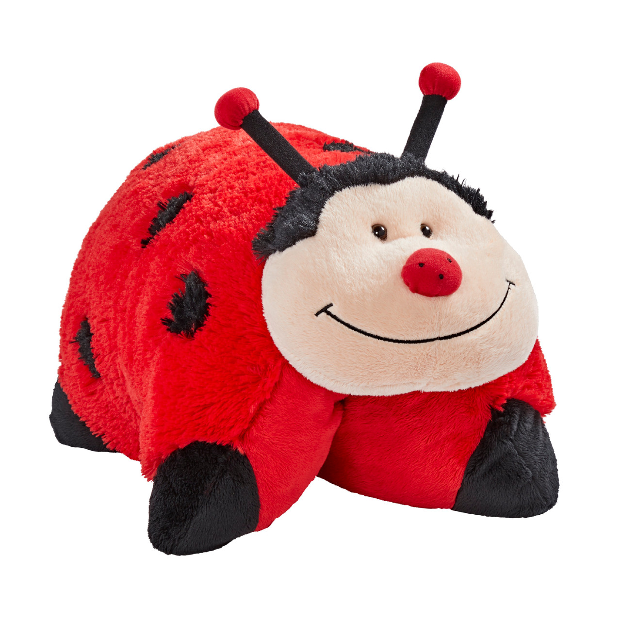 MsLadybug_1__17187.1745868873.jpg